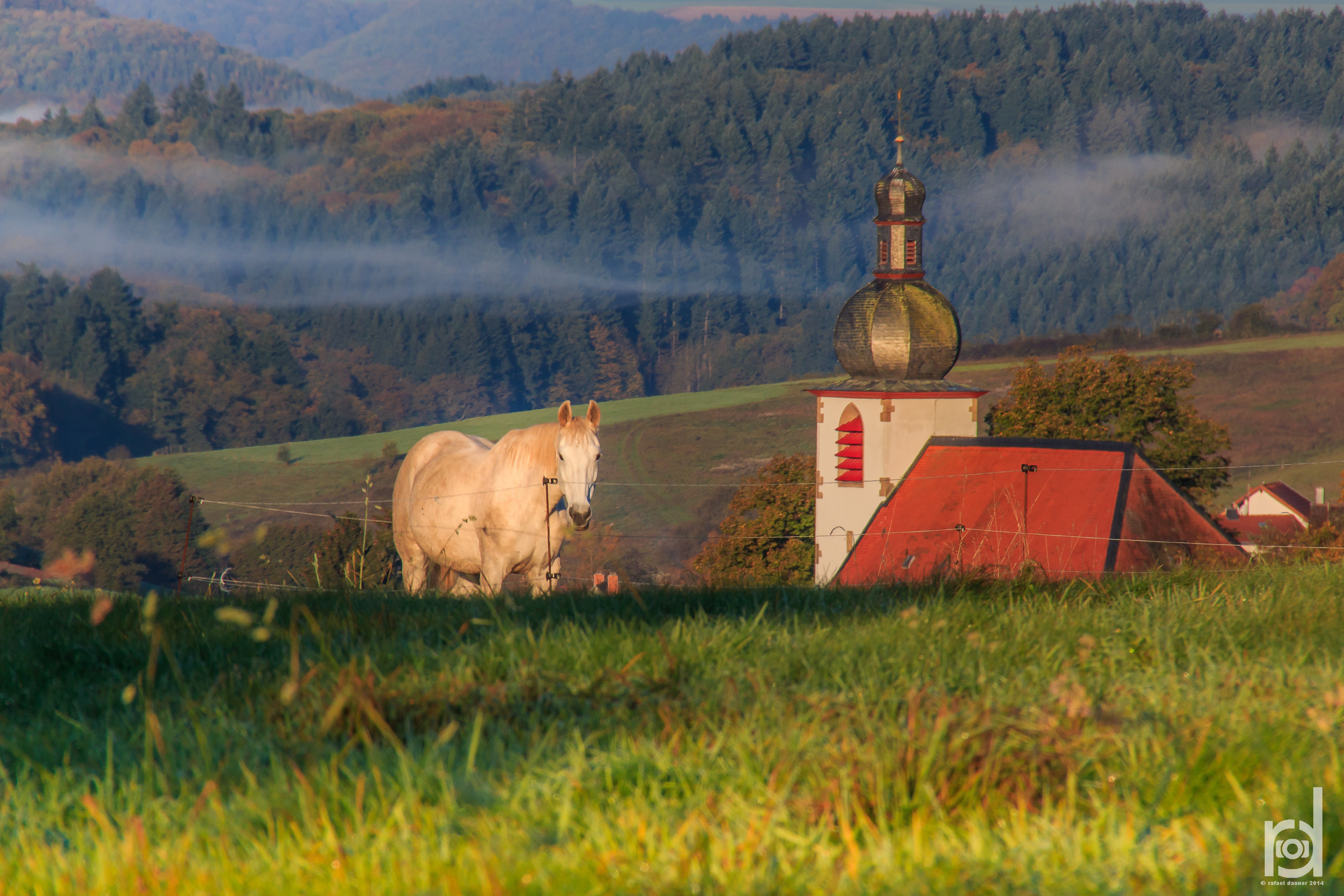 Église évangélique